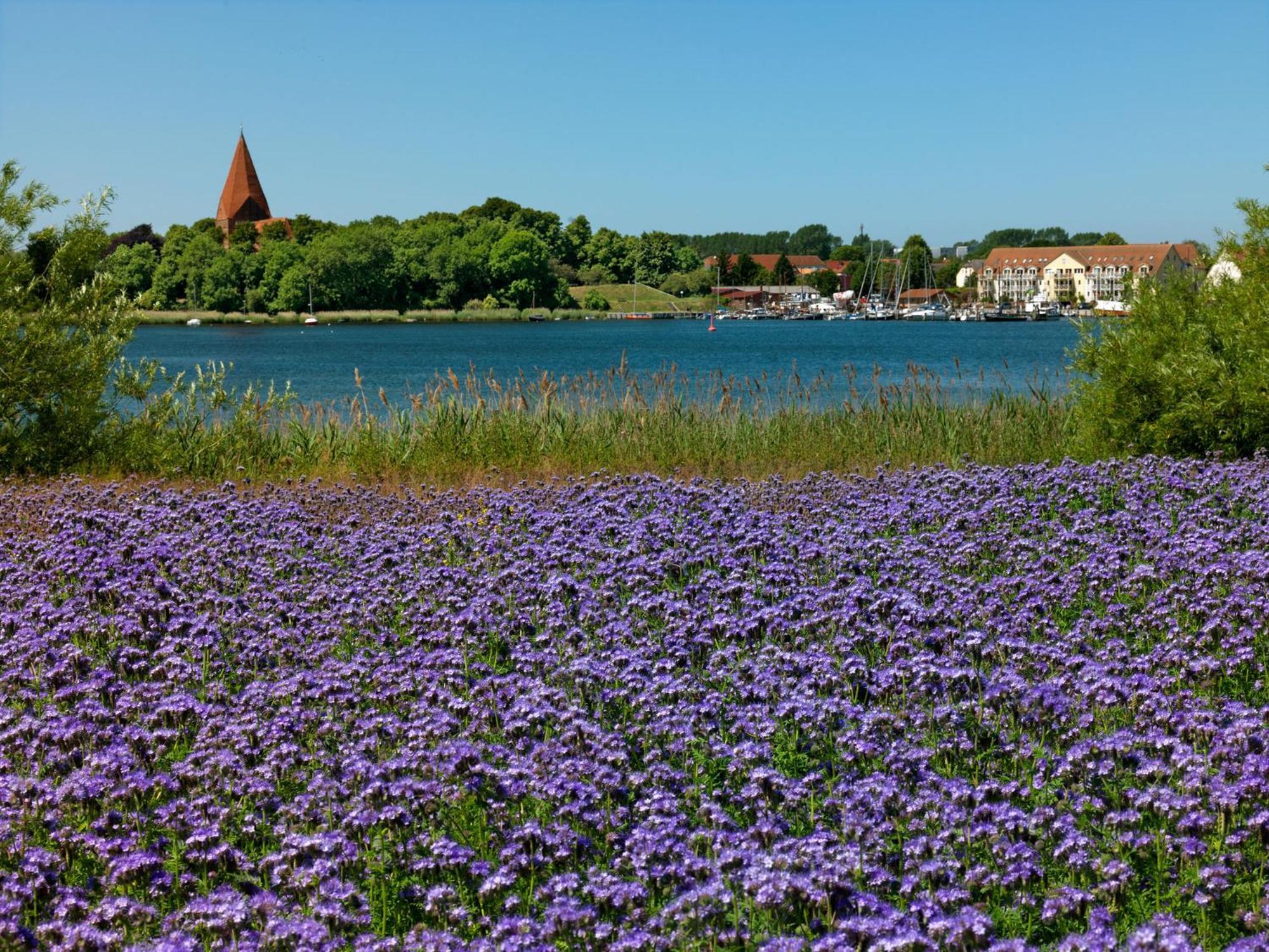 Inselbude Insel Poel Exterior photo